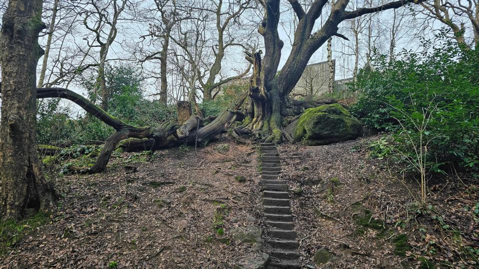 Alton Towers β Fact-Checking the Chained Oak: What's Actually True Behind Hex's Legend? β hero image