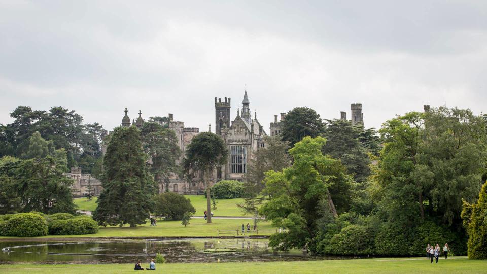 First Aid at Alton Towers: The Complete Guide โ hero image