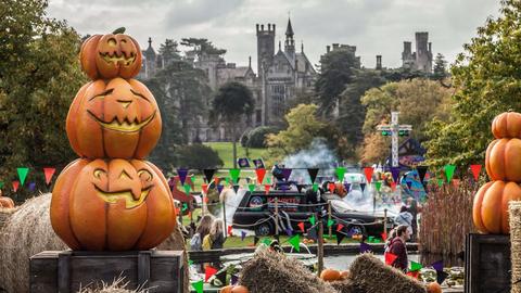 Alton Towers — Scarefest Attraction Bundles Explained: Which Should You Actually Buy? — hero image